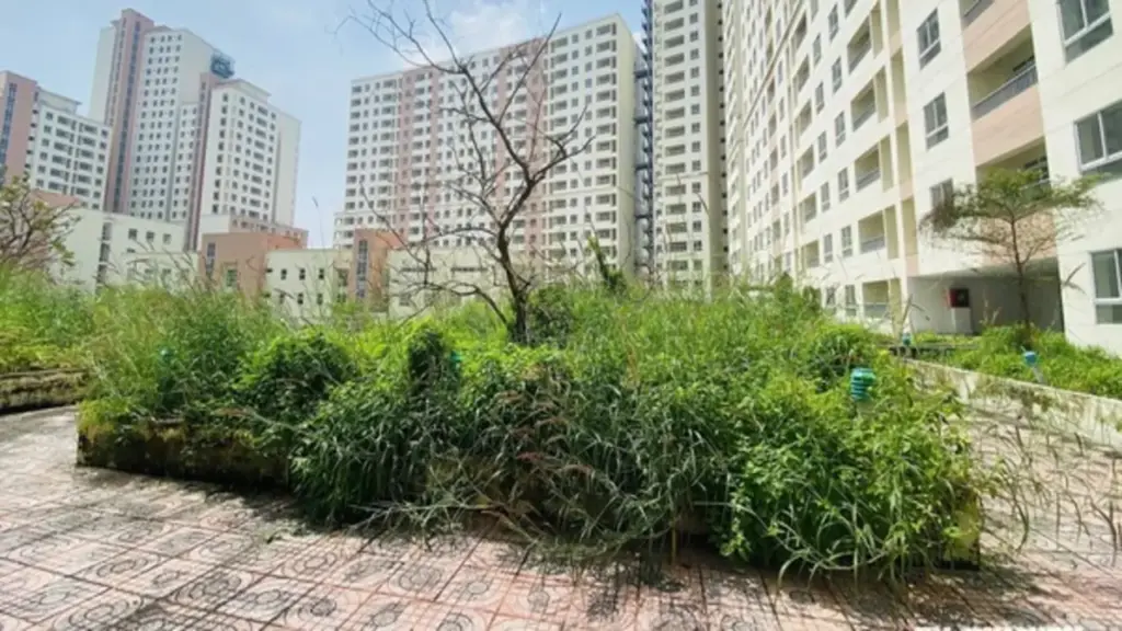 ‘Hồi sinh’ nhà tái định cư bỏ hoang