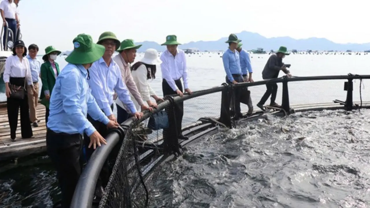 Khánh Hòa chi gần 60 tỉ đồng hỗ trợ ngư dân đổi lồng bè công nghệ cao