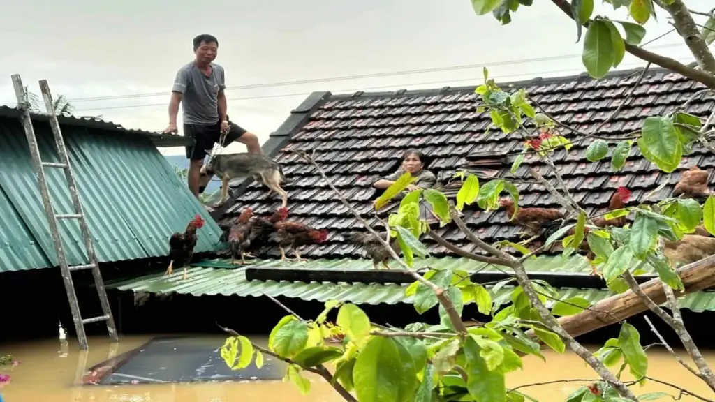 Không để xảy ra tình trạng mưa lũ người dân phải lên nóc nhà kêu cứu