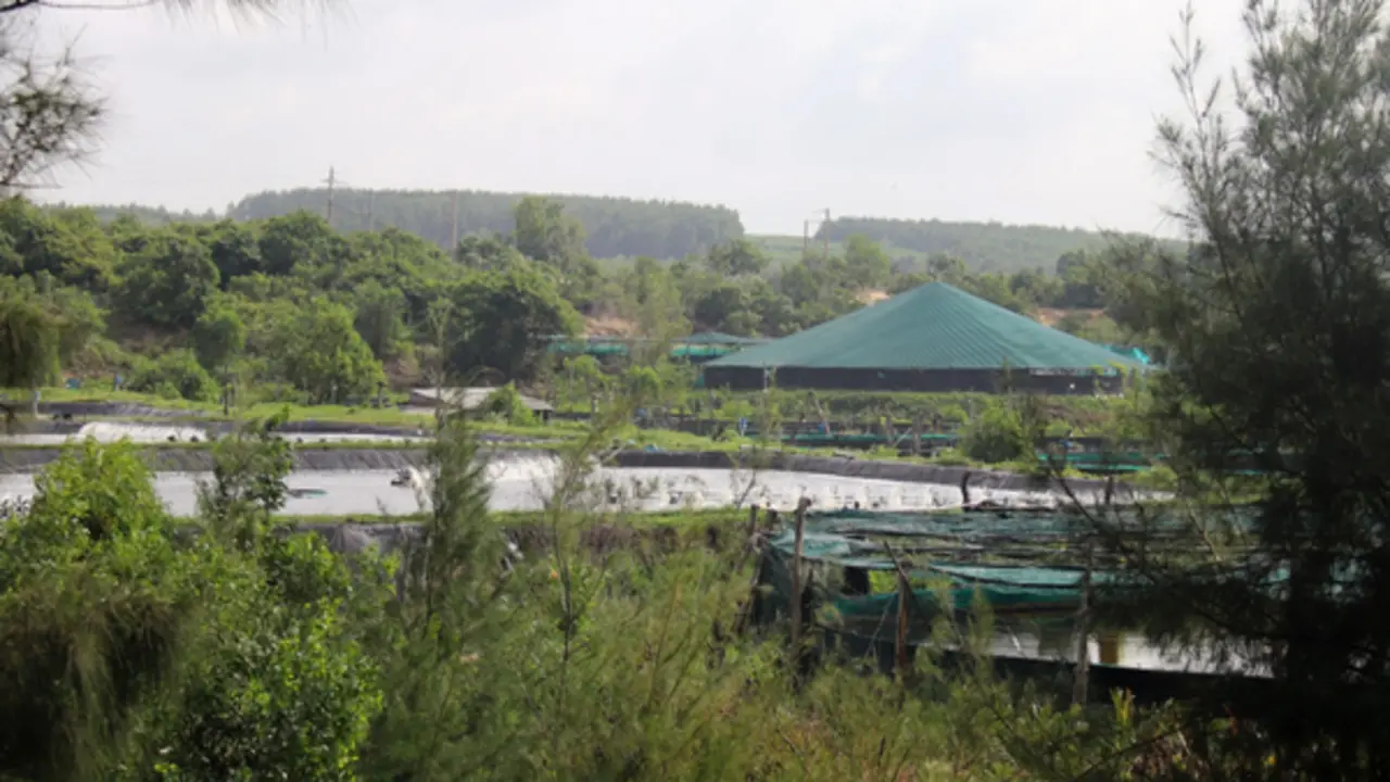 Lâm Đồng siết trách nhiệm quản lý đất, không để đùn đẩy, buông lỏng quản lý