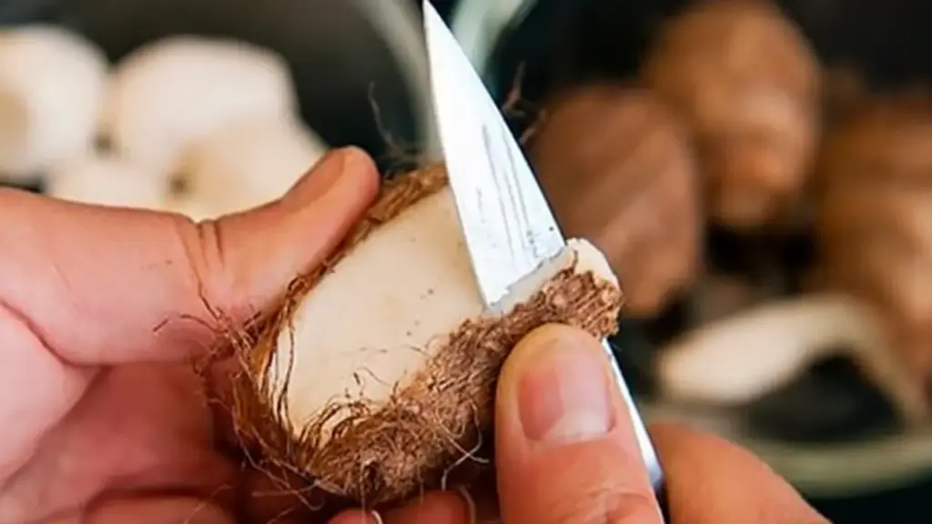 Loại củ quen thuộc được ví như "thực phẩm trường thọ", chợ nào cũng bán