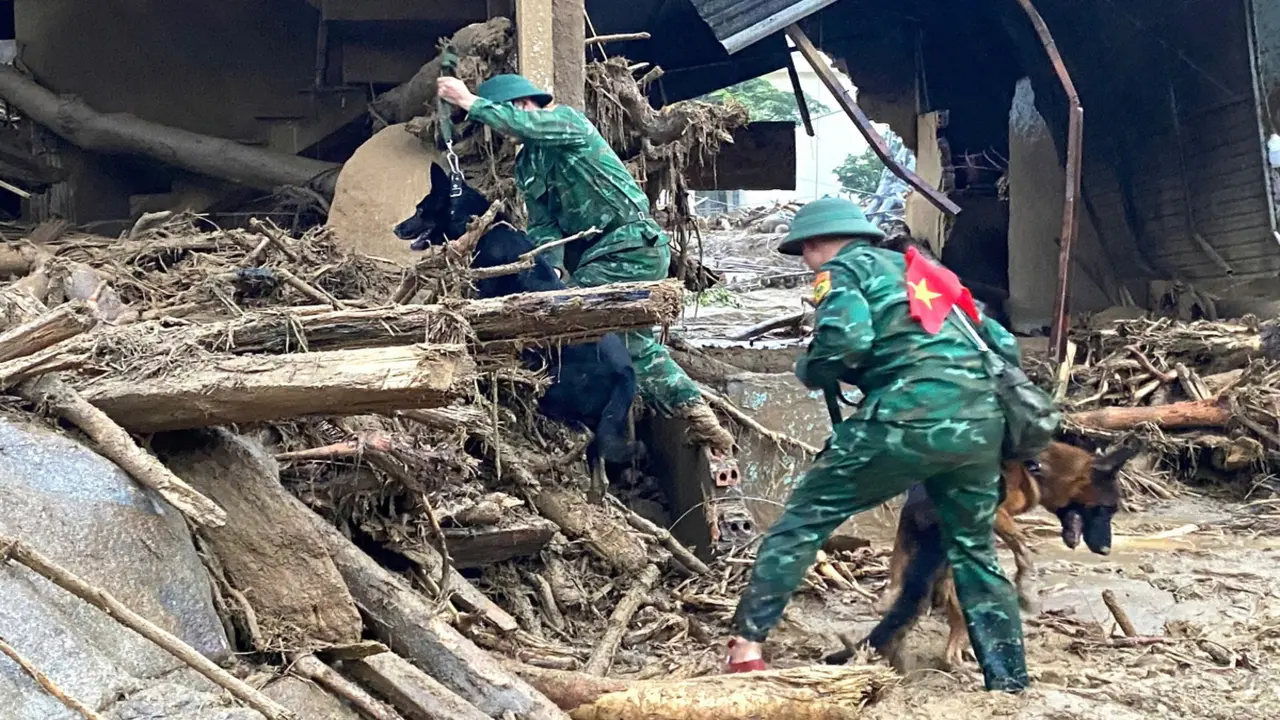 Lũ quét ở Lai Châu: Triển khai chó nghiệp vụ tìm kiếm 4 người mất tích