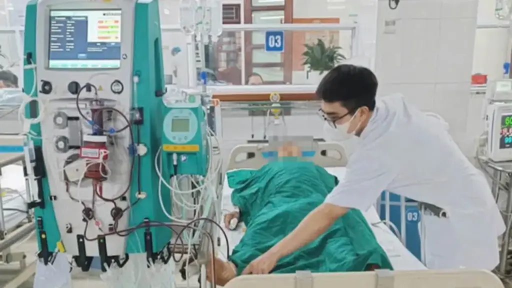 Người đàn ông 68 tuổi suýt mất mạng vì ăn mật cá trắm