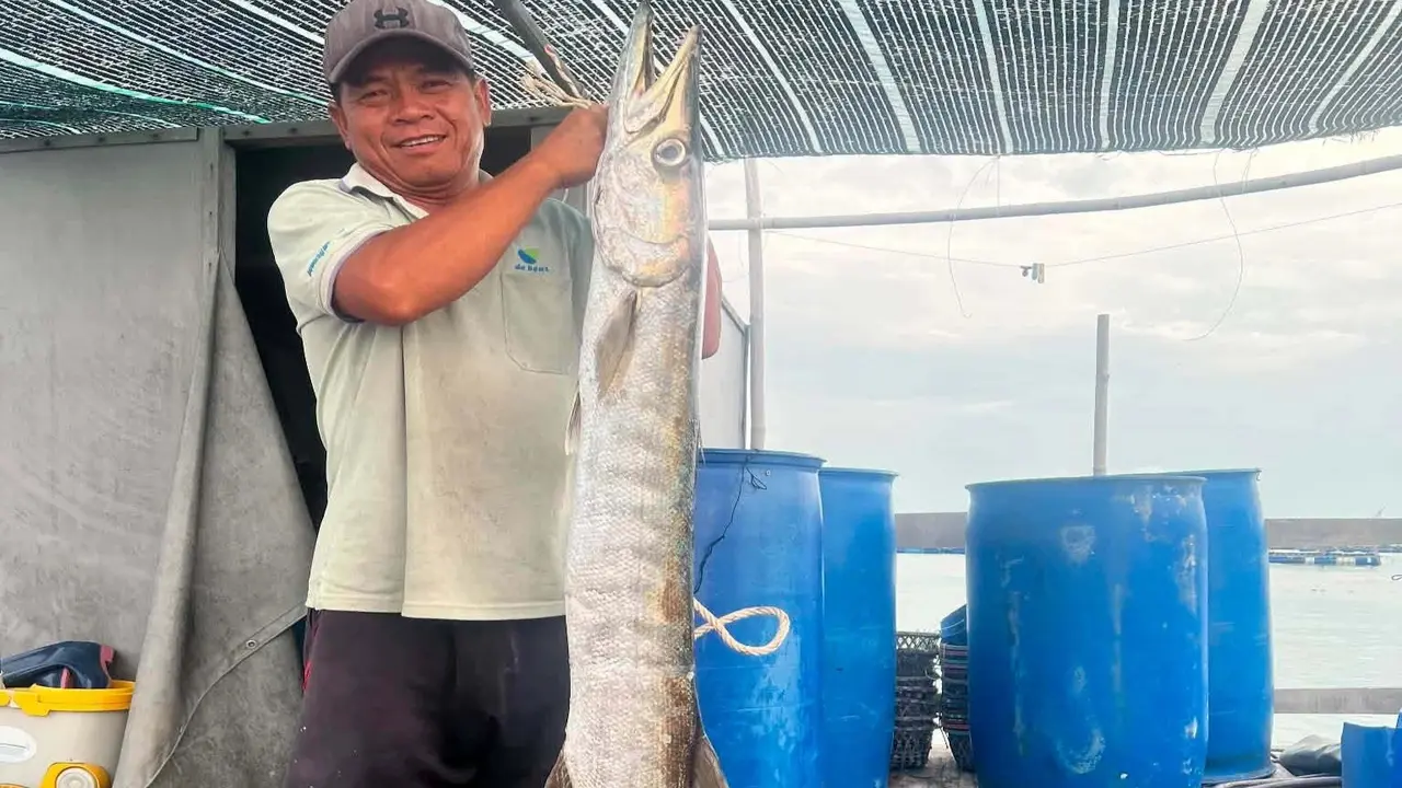 Người đàn ông ở TPHCM câu được cá dài 1,6m, hàm răng nhọn