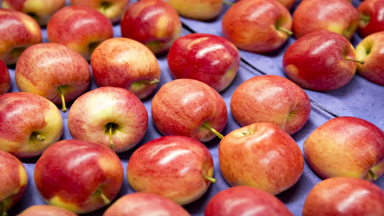 Người Việt chuộng trái cây Mỹ, táo và cherry dẫn đầu