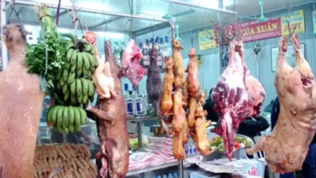 Những bữa nhậu vô tri với 'thịt thú rừng vài triệu đồng một kg'