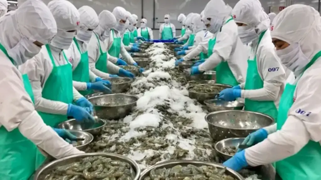"Ông lớn" ngành tôm một thời ghi nhận doanh thu chưa tới 200 triệu đồng