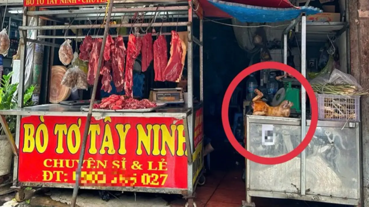 Phố thịt chó một thời ở TP.HCM thưa vắng, vì sao vẫn còn người bán cầy tơ?
