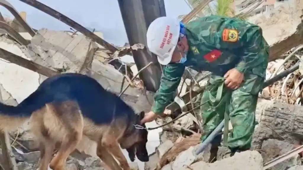 Quân khuyển Việt Nam hoạt động hiệu quả hàng đầu trong cứu hộ tại Venezuela