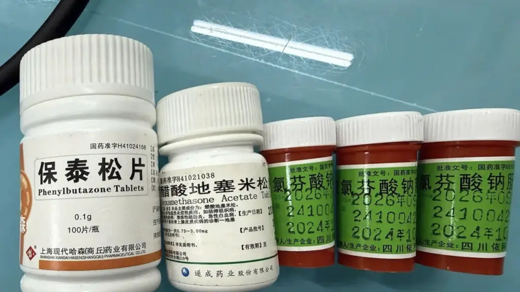 Suy thận, nguy kịch vì uống thuốc chứa Phenylbutazone trị đau khớp mua trên mạng