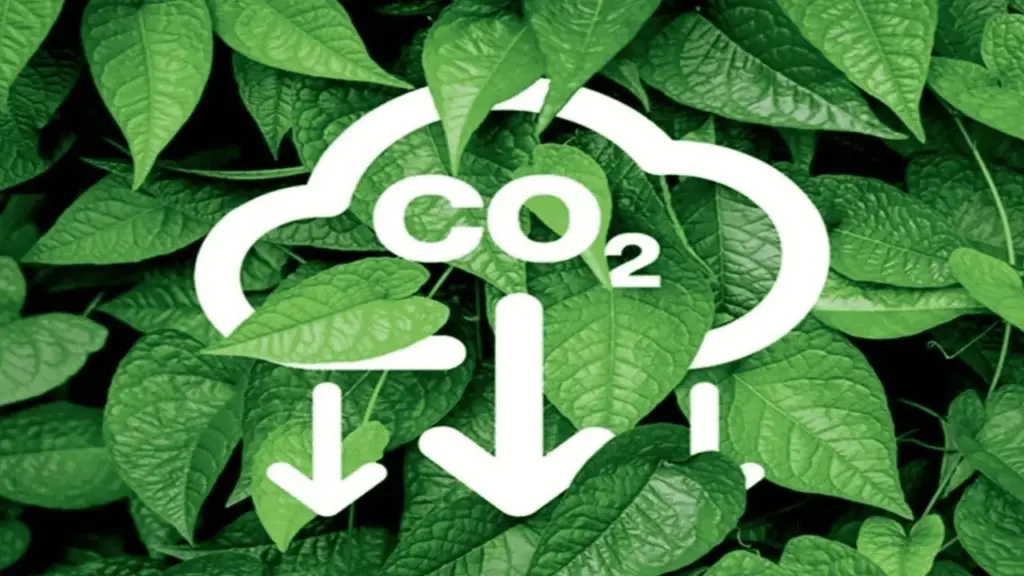 Thông tin mới về sàn giao dịch carbon của Việt Nam