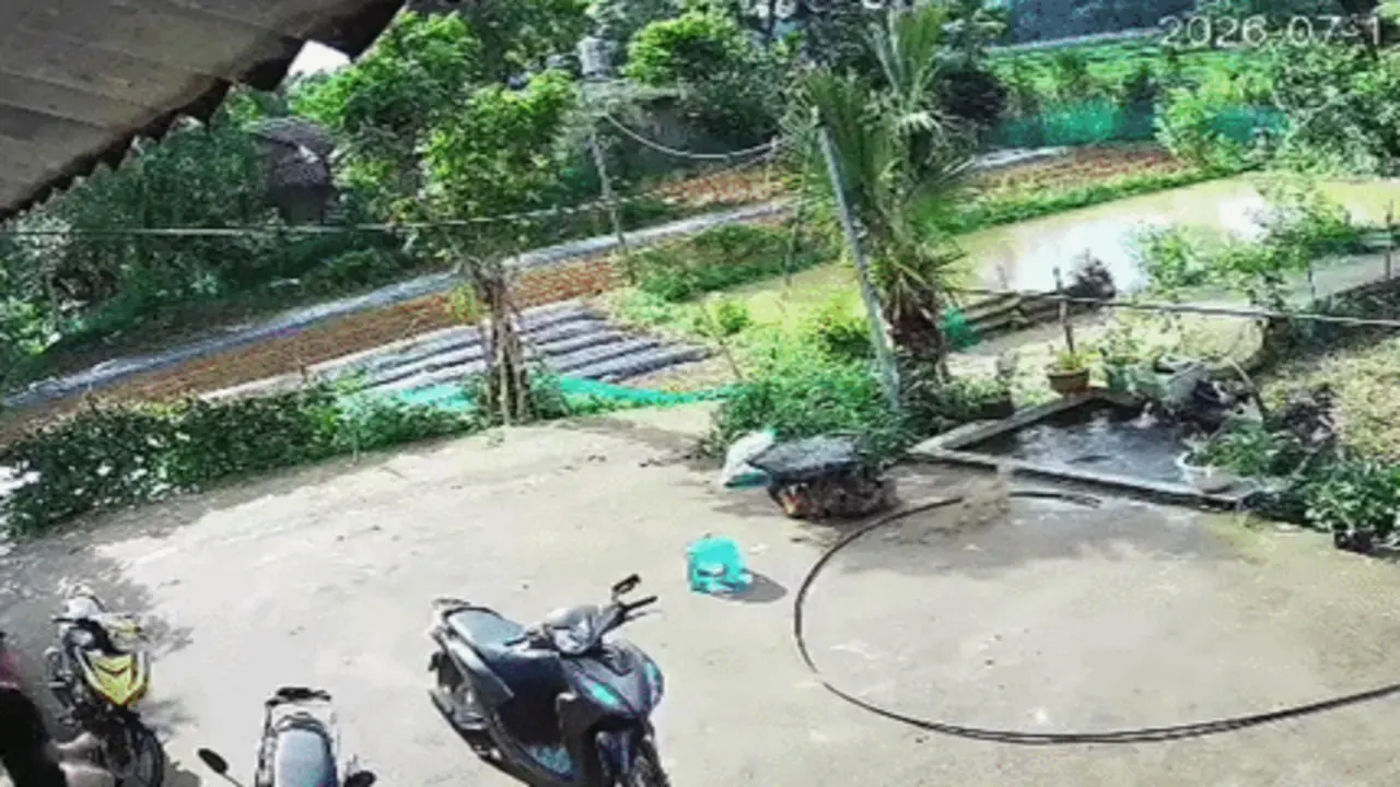 Tiếng hét của bé trai ở Tuyên Quang cứu em gái thoát chết dưới bể nước