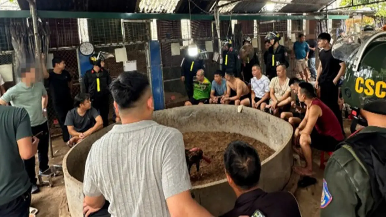 Triệt xóa điểm cá cược đá gà quy mô lớn ở Lạng Sơn