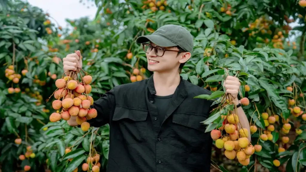 Vải thiều mất mùa, vẫn thu hơn 8.600 tỉ đồng