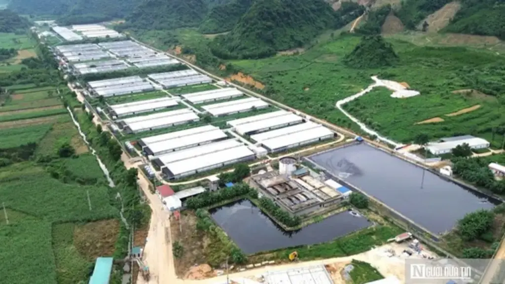 Vụ 5 công nhân tử vong ở trại lợn: 3 công ty chăn nuôi tại xã đều vi phạm về môi trường