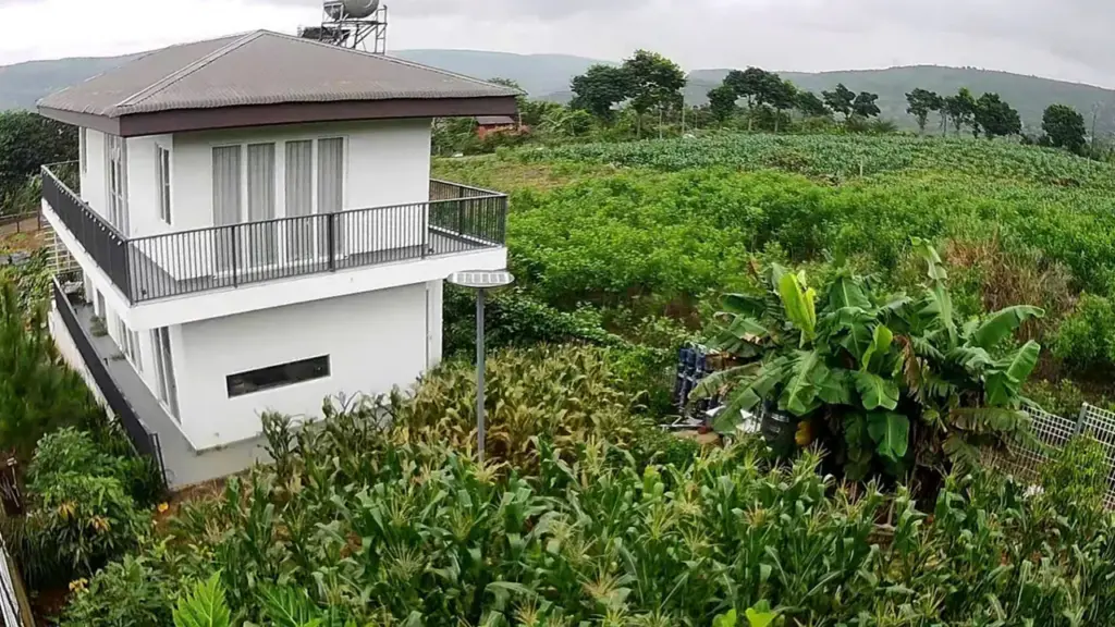 Vườn rau trái gần 1.000 m2 của diễn viên Lê Hóa