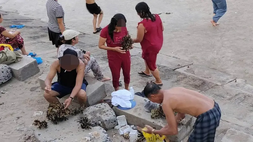 Xác minh nhóm người bẻ san hô ở biển Nha Trang