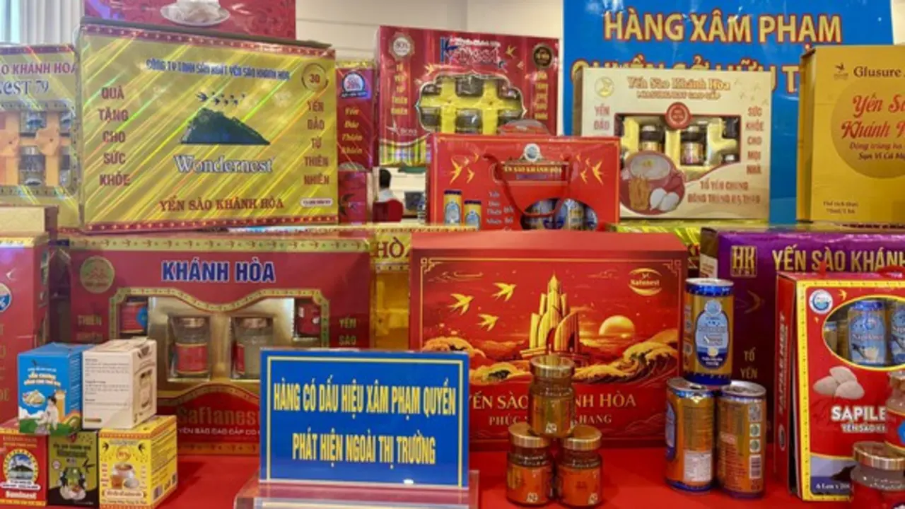Yến sào Khánh Hòa bị làm giả khắp nơi